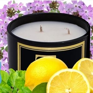 TOBI Tobin Salt Box Candle 9oz